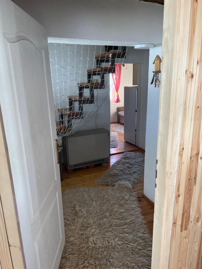 Kuca Miladinovic Villa Копаоник Екстериор снимка