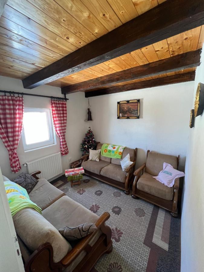 Kuca Miladinovic Villa Копаоник Екстериор снимка